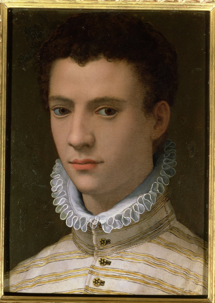 Porträt eines jungen Mannes von Agnolo Bronzino