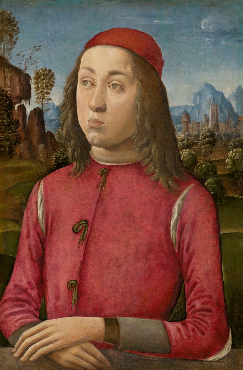 Porträt eines Jugendlichen von Agnolo di Domenico