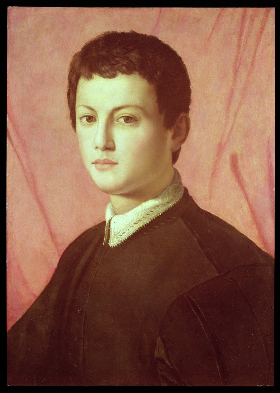 Porträt eines jungen Mannes von Agnolo Bronzino