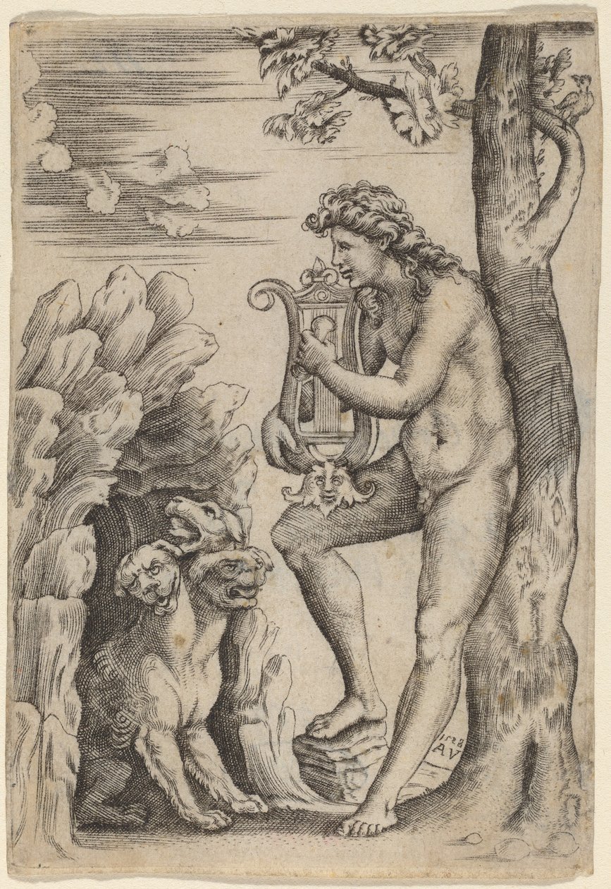 Orpheus von Agostino dei Musi