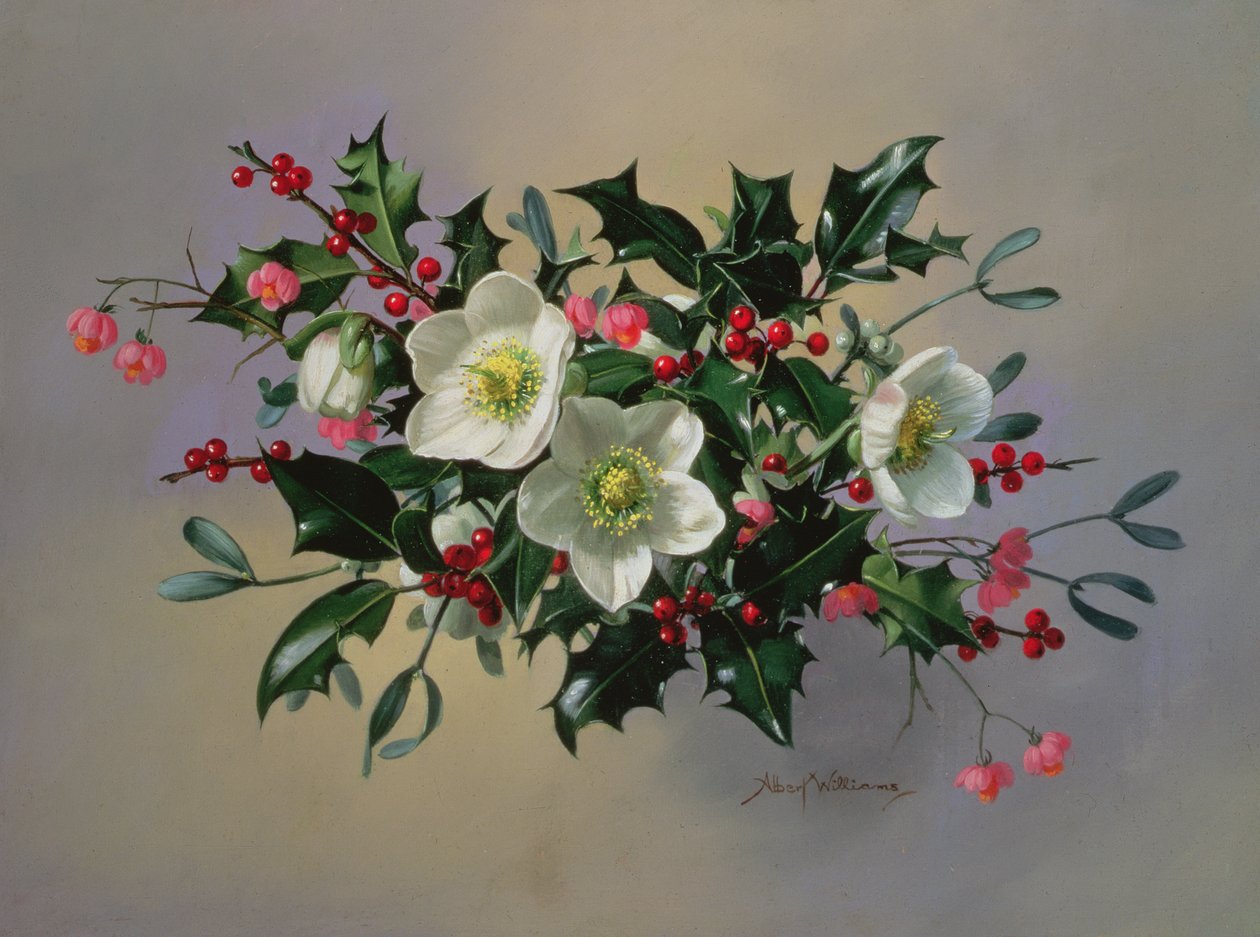 AB89 Weihnachtsrosen von Albert Williams