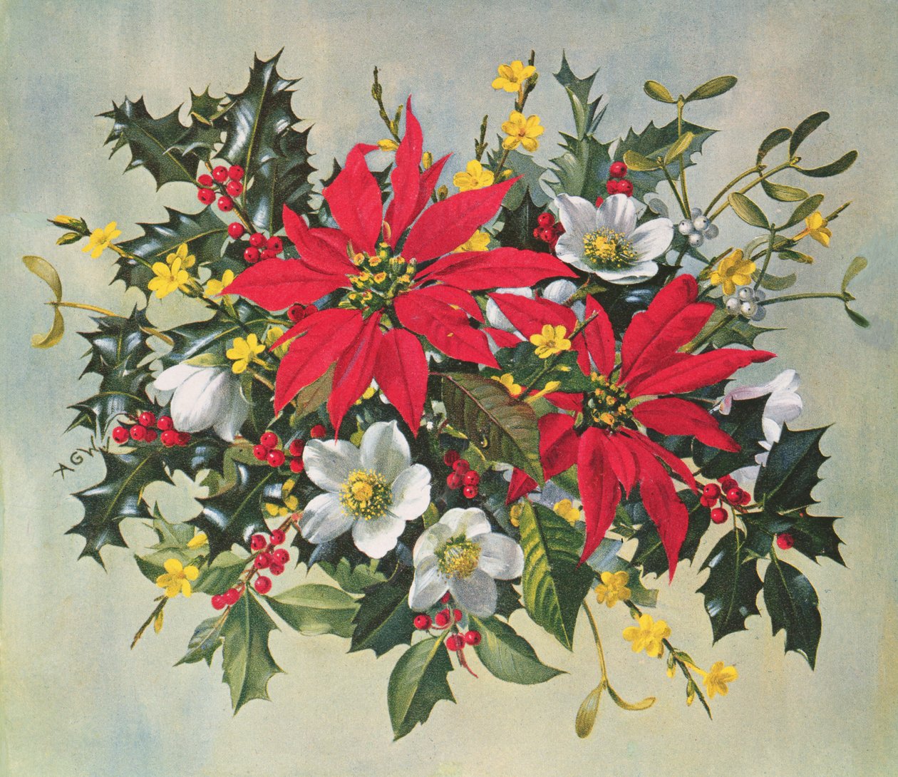 Weihnachtsblumen von Albert Williams