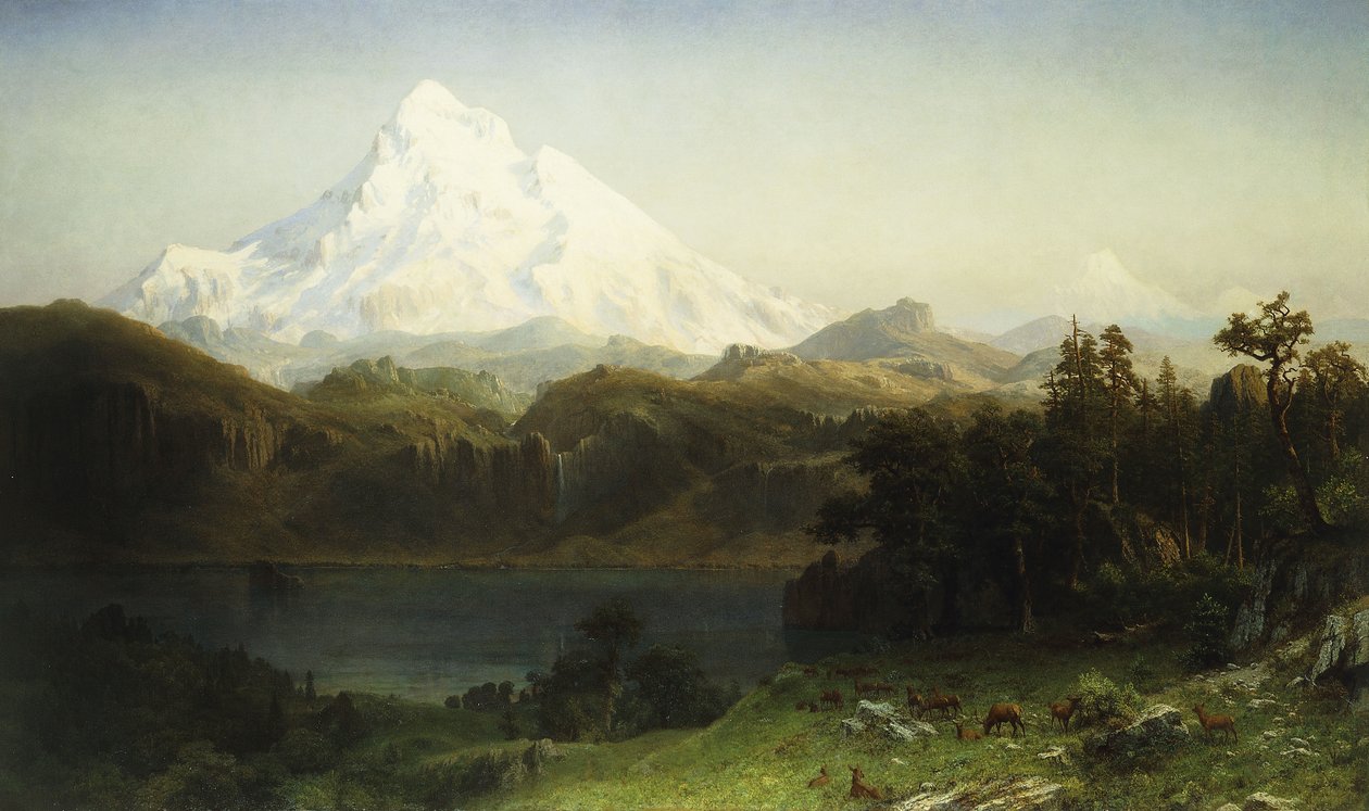 Mount Hood in Oregon von Albert Bierstadt