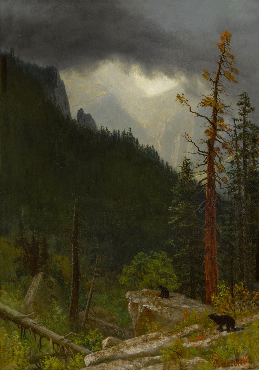 Rockies nach einem Sturm von Albert Bierstadt
