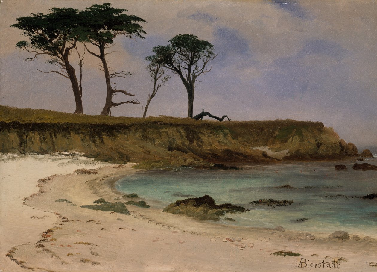 Meeresbucht von Albert Bierstadt