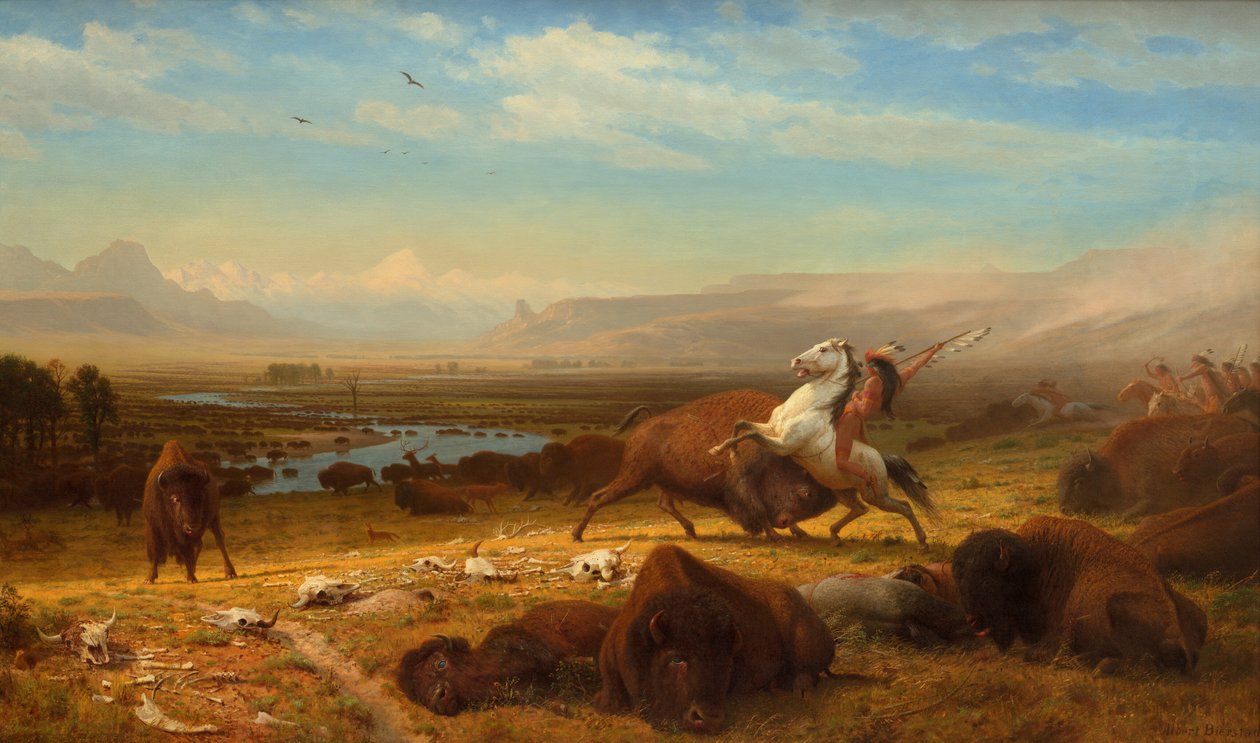 Der letzte Büffel von Albert Bierstadt