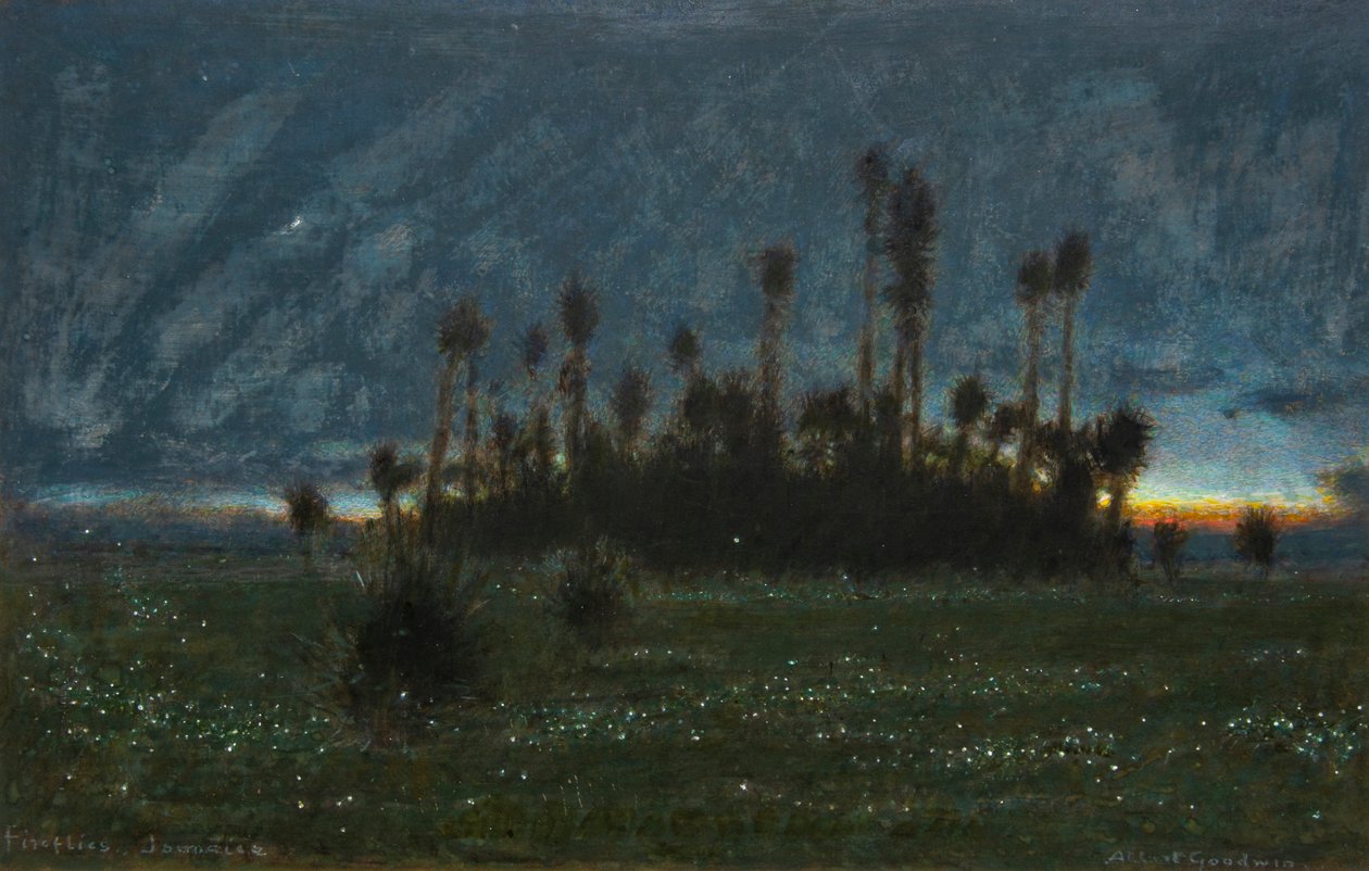 Glühwürmchen, Jamaika von Albert Goodwin