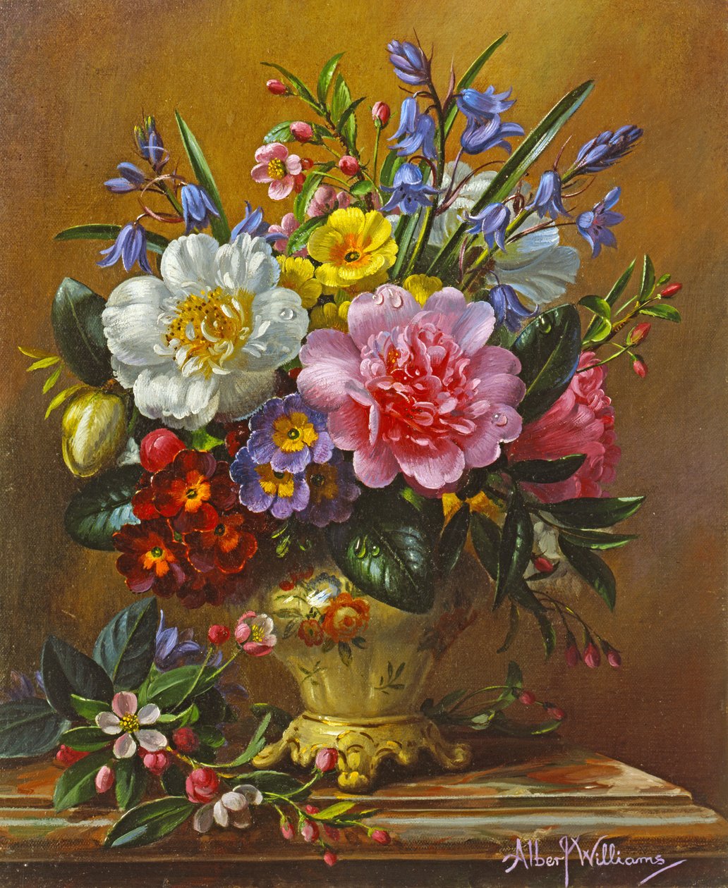 Pfingstrosen, Glockenblumen und Primeln von Albert Williams