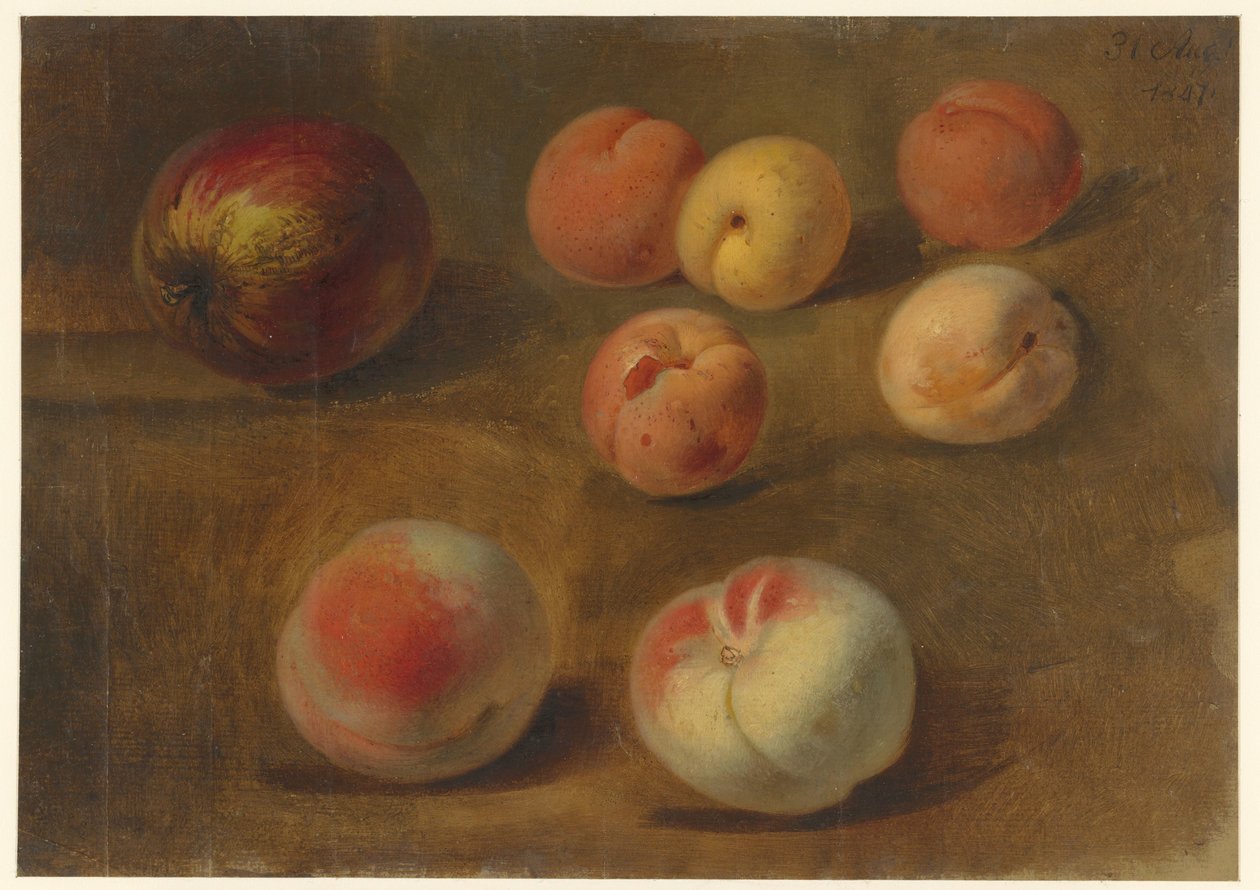 Stillleben mit Apfel, Pfirsichen und Aprikosen von Albertus Steenbergen