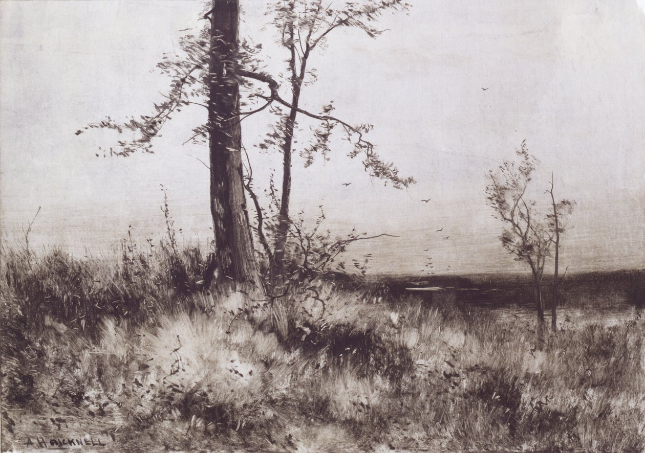 Landschaft von Albion Harris Bicknell