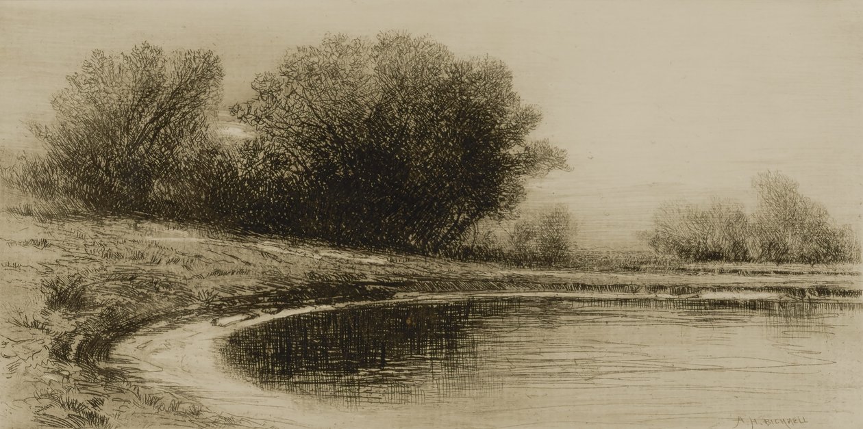 Teich und Bäume von Albion Harris Bicknell