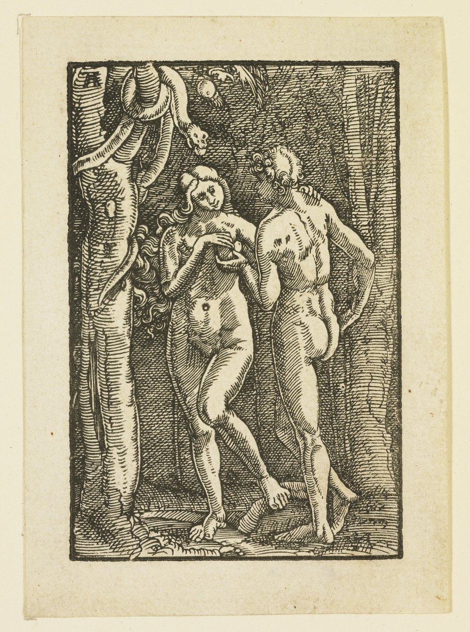 Adam und Eva essen die verbotene Frucht, ca. 1513 von Albrecht Altdorfer