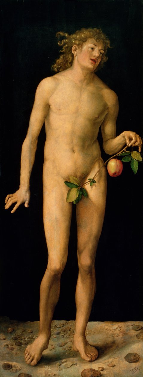 Adam, 1507 von Albrecht Dürer