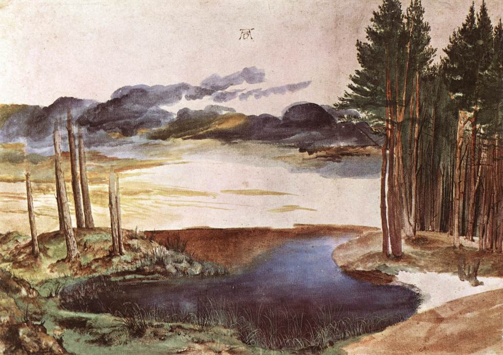 Teich im Wald von Albrecht Dürer