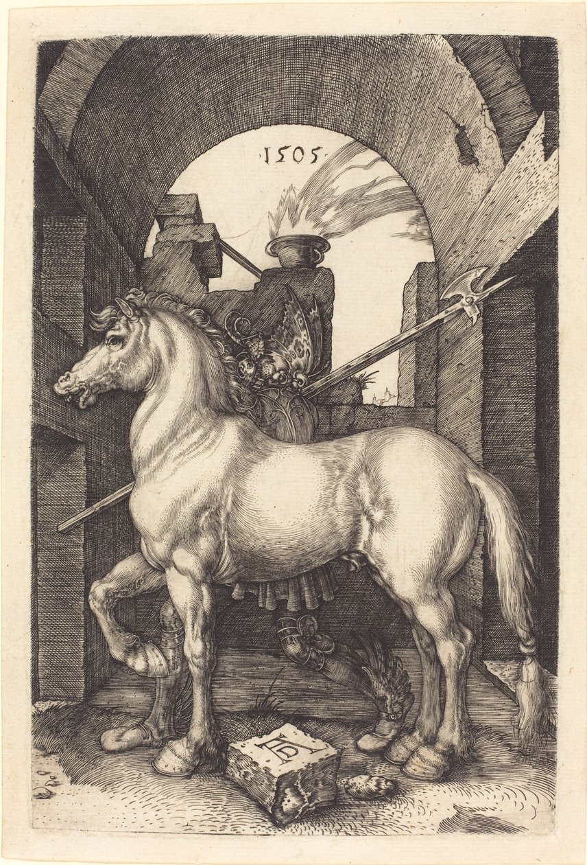 Kleines Pferd von Albrecht Dürer