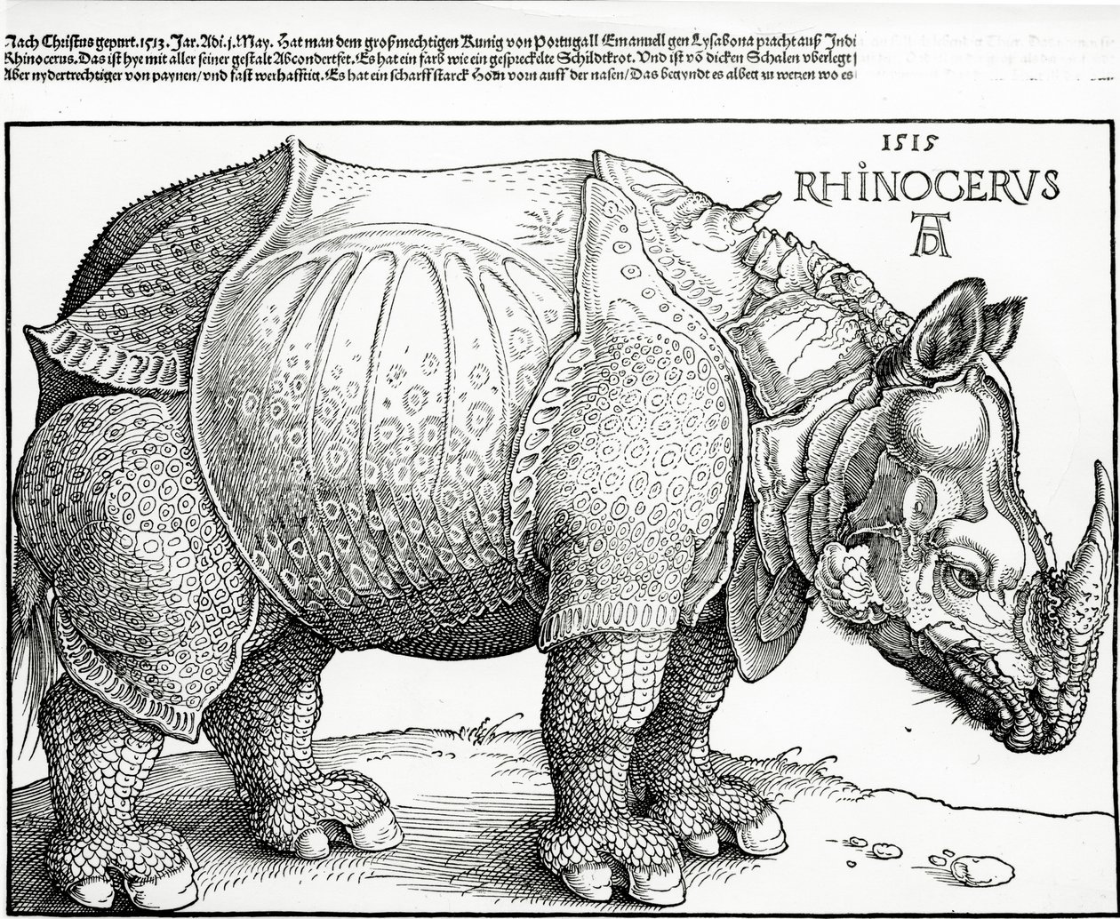 Das Nashorn, 1515 von Albrecht Dürer