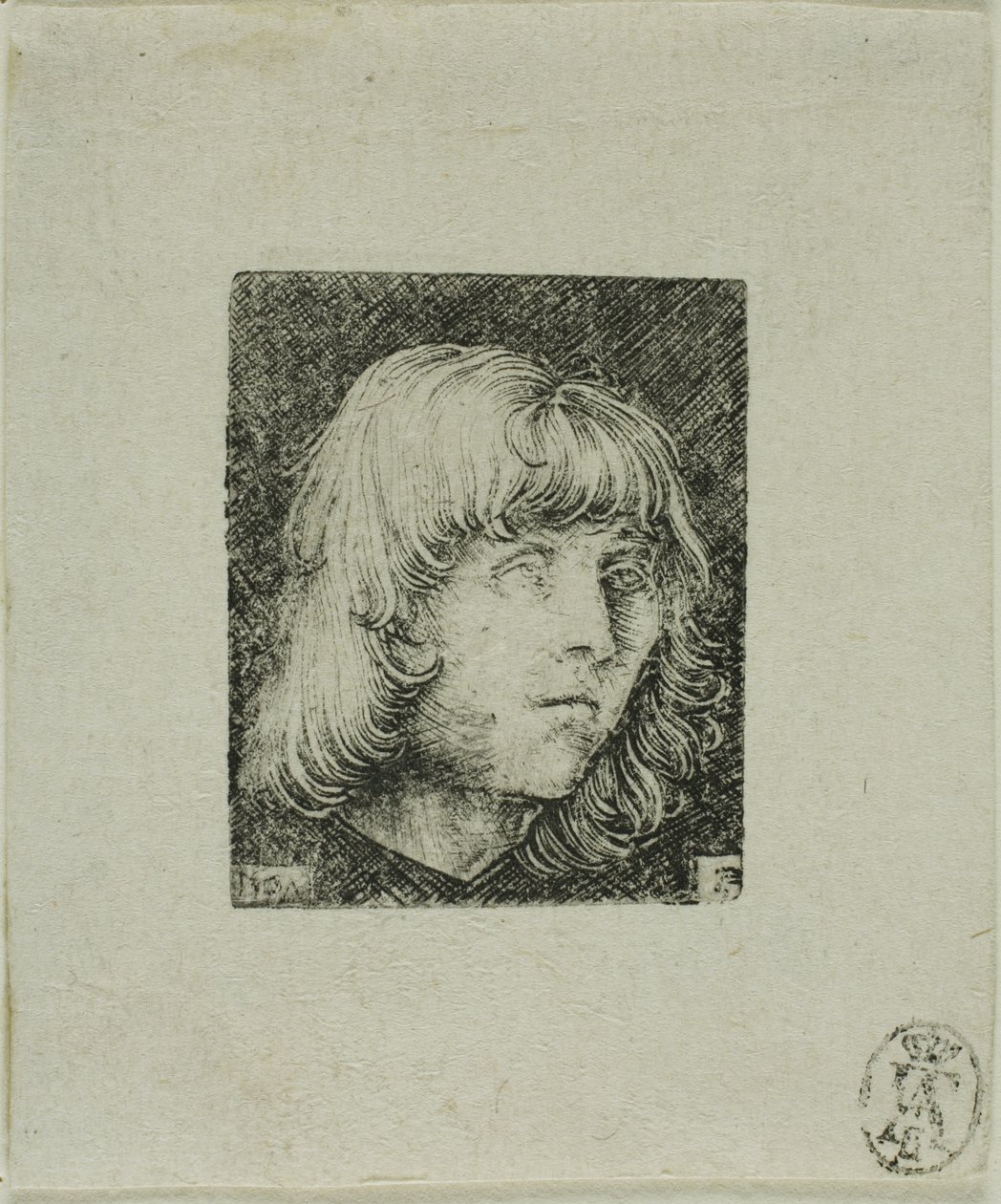 Kopf eines jungen Mannes von Albrecht Altdorfer