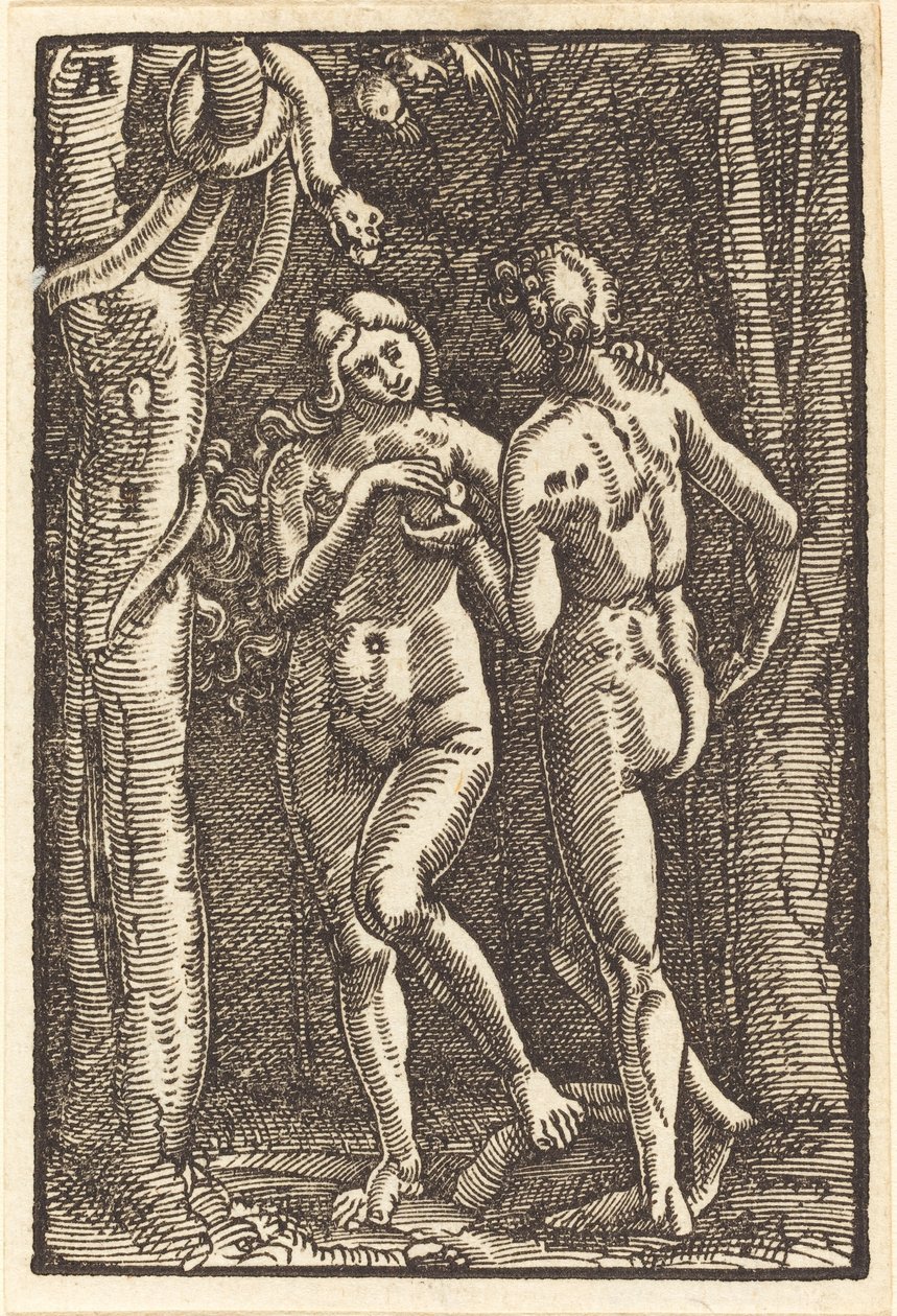 Der Sündenfall von Albrecht Altdorfer