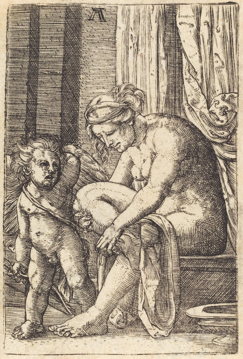 Venus nach dem Bad von Albrecht Altdorfer