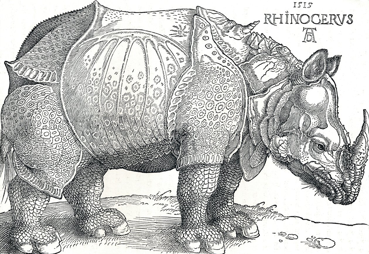 Ein Nashorn, 1515, 1906 von Albrecht Dürer