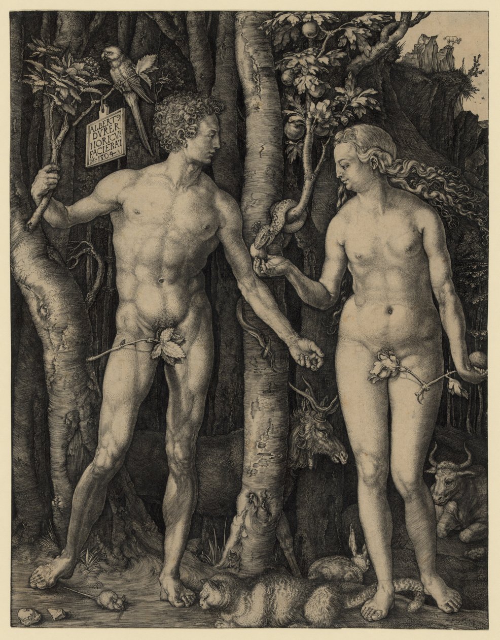 Adam und Eva von Albrecht Dürer