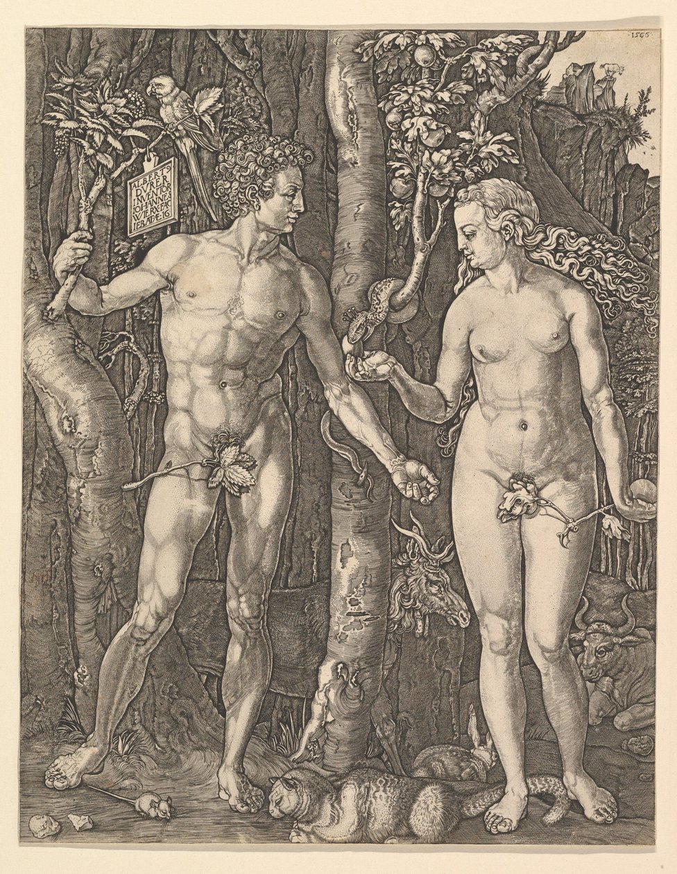 Adam und Eva, 1566 von Albrecht Dürer