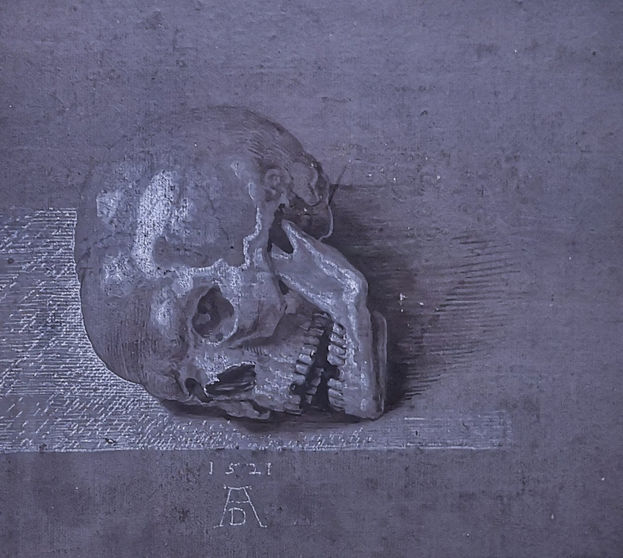 Totenschädel von Albrecht Dürer