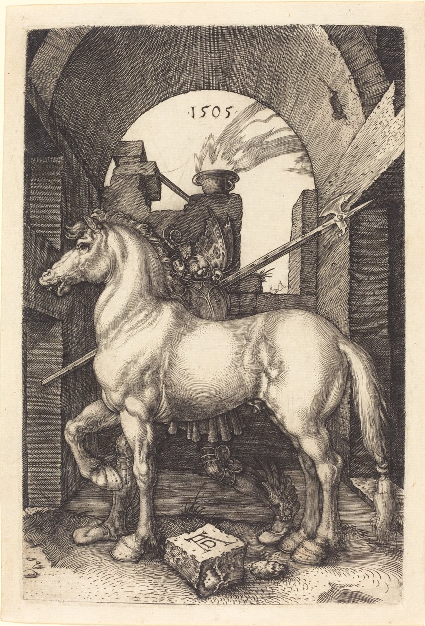 Kleines Pferd von Albrecht Dürer