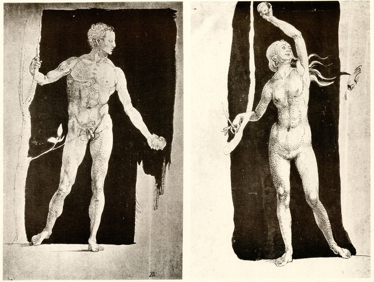 Studien zu Adam und Eva von Albrecht Dürer