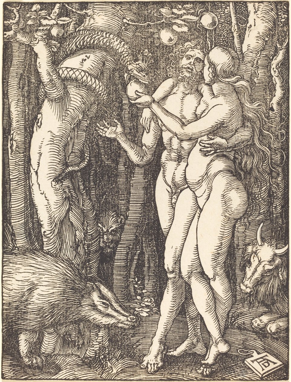 Der Sündenfall von Albrecht Dürer