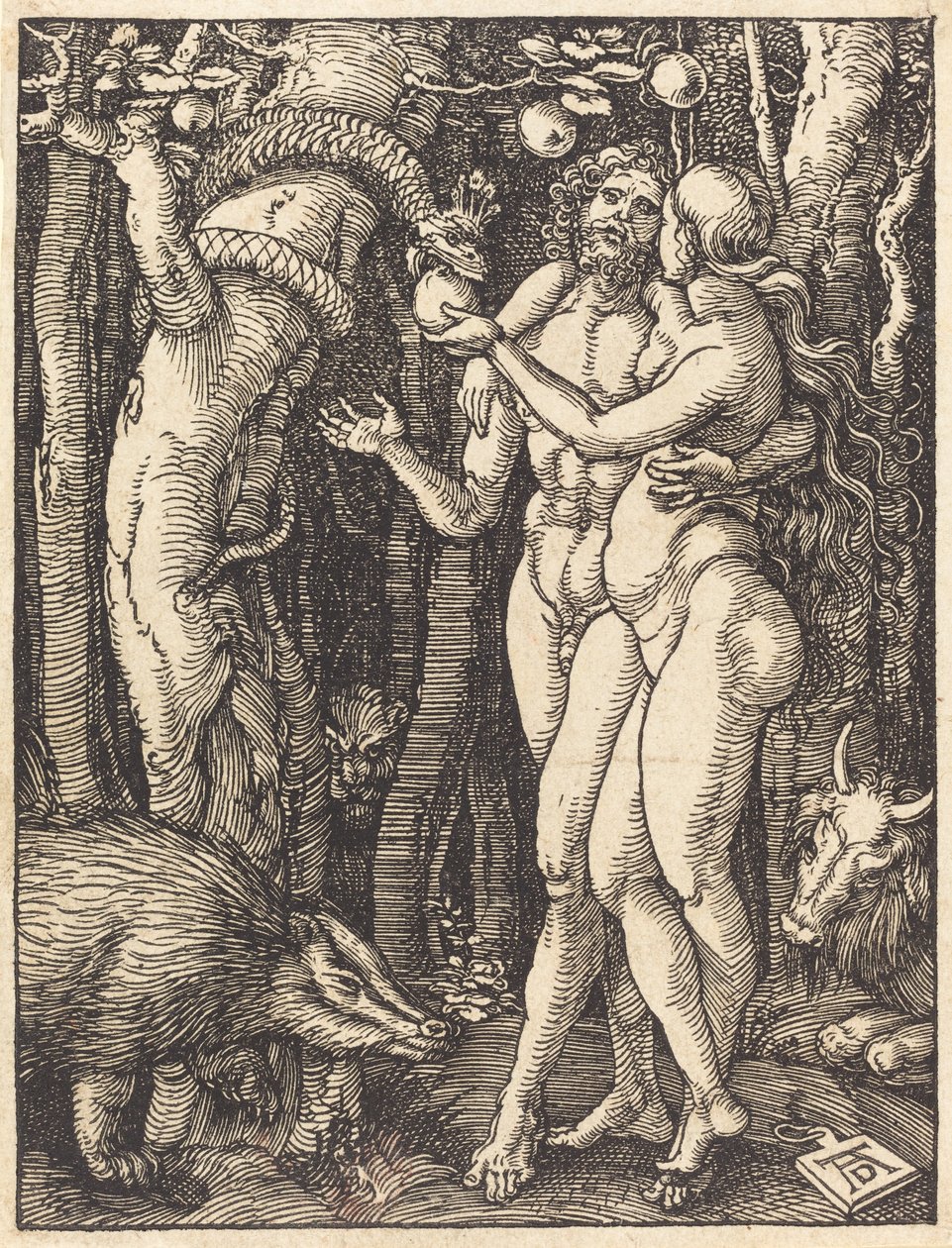 Der Sündenfall, wahrscheinlich ca. 1509-1510 von Albrecht Dürer