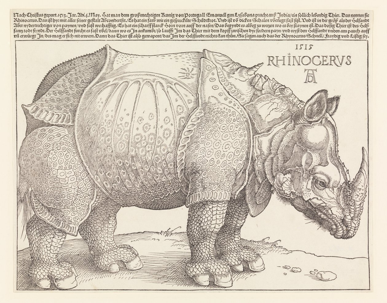 Das Nashorn von Albrecht Dürer