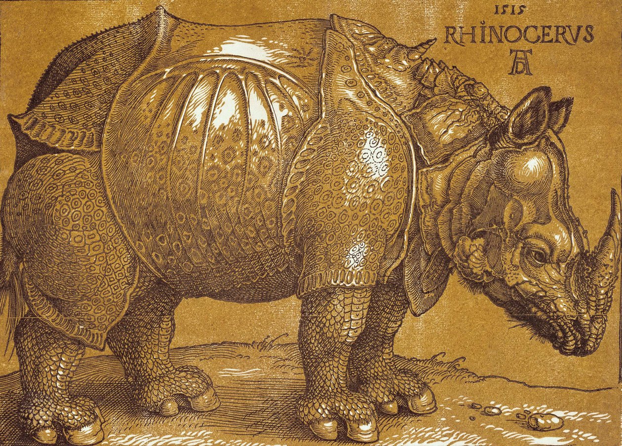 Das Nashorn, 1515 von Albrecht Dürer