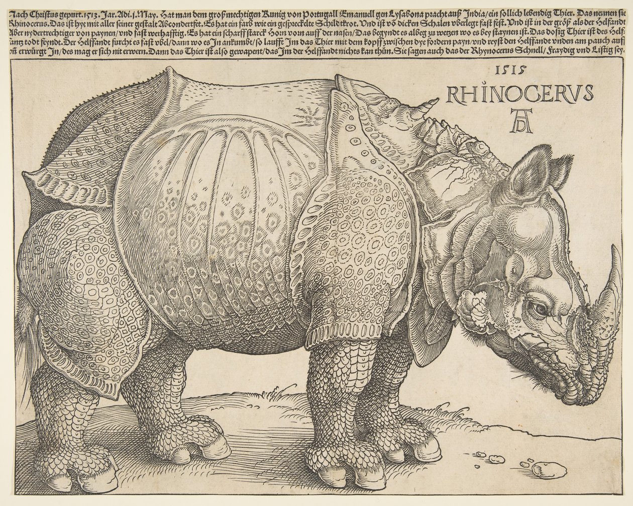 Das Nashorn von Albrecht Dürer