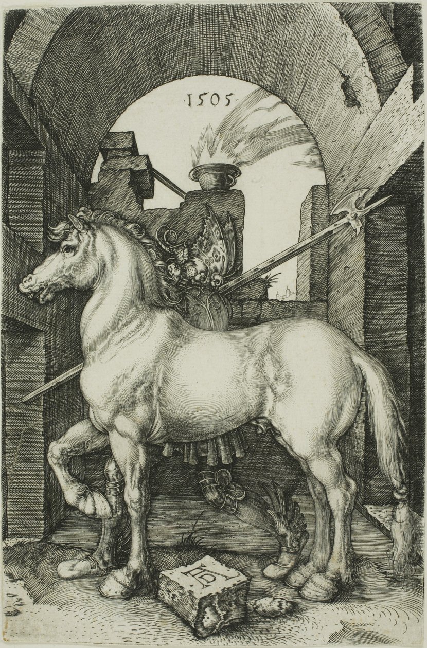 Das kleine Pferd von Albrecht Dürer