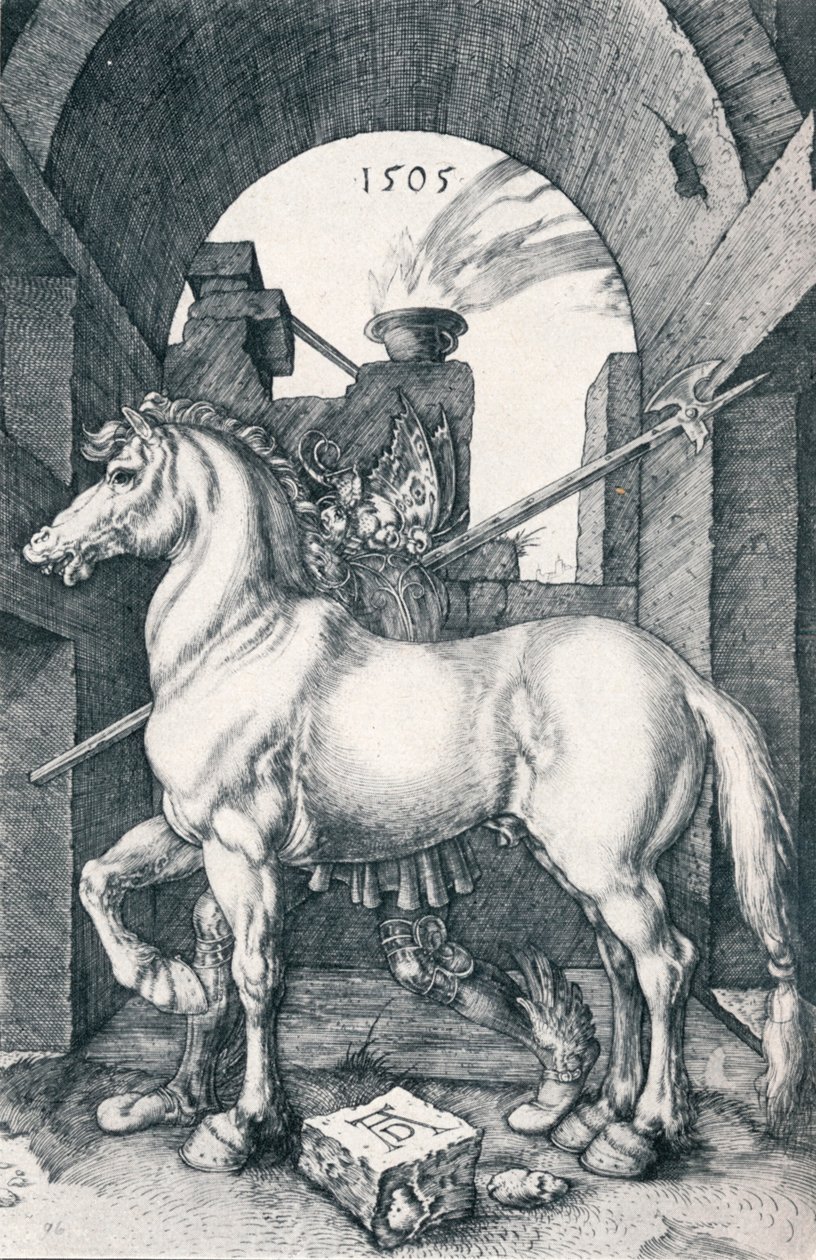 Das kleine Pferd von Albrecht Dürer