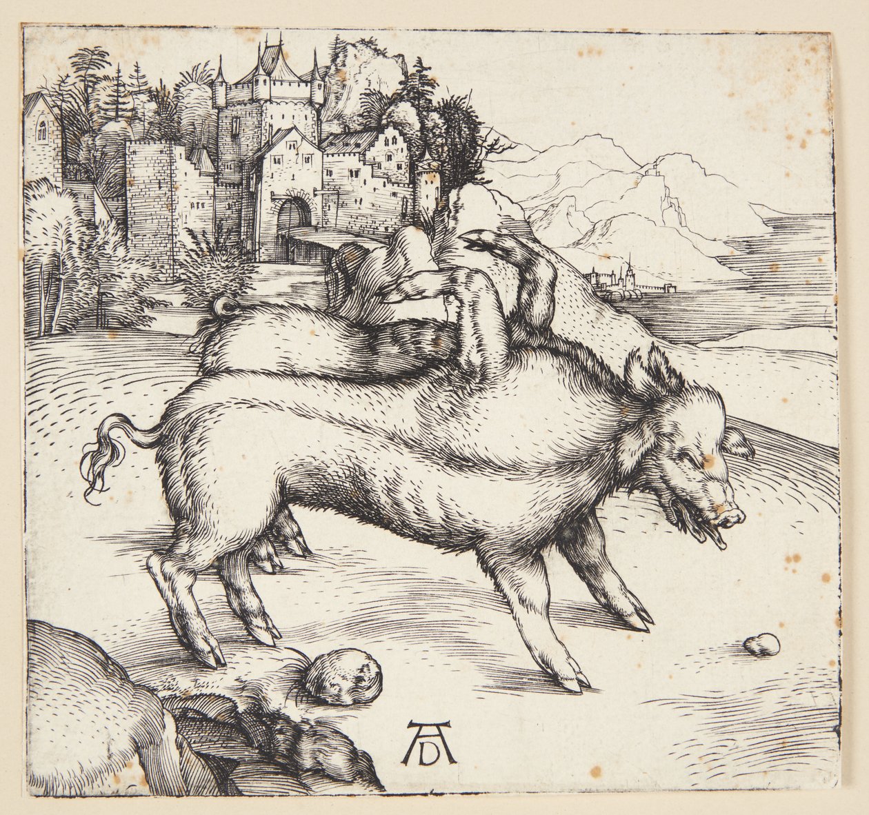 Die monströse Sau von Landser von Albrecht Dürer