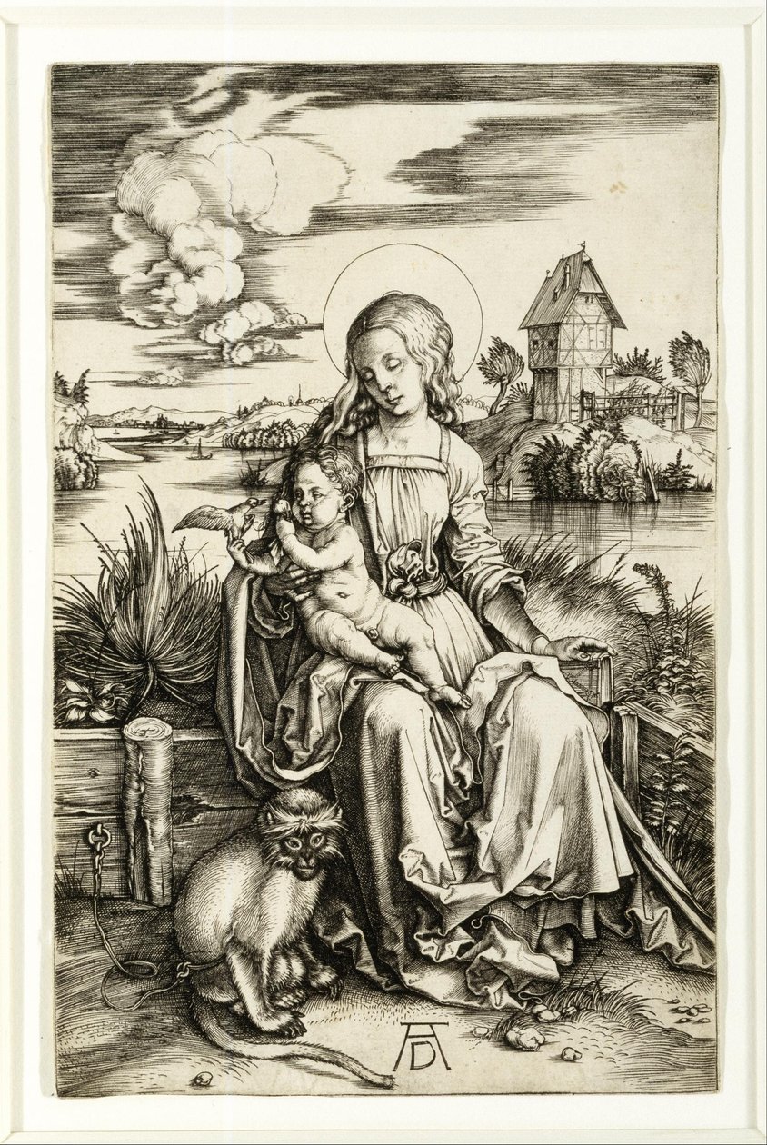 Jungfrau und Kind mit dem Affen von Albrecht Dürer