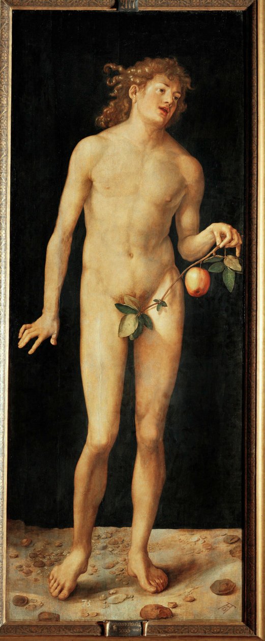 Adam von Albrecht Dürer or Duerer