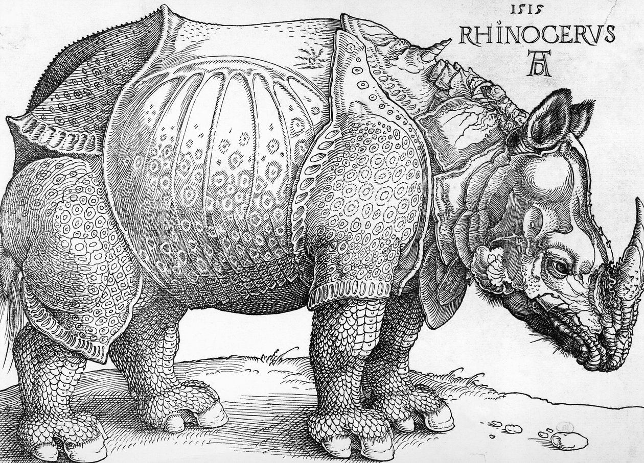 Nashorn von Albrecht Dürer
