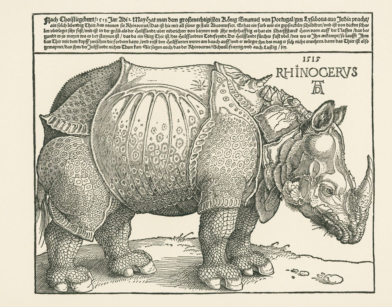 Das Nashorn von Albrecht Dürer or Duerer