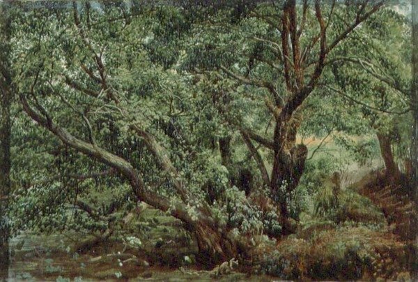 Bäume an einem Bach von Aleksandr Andreevich Ivanov