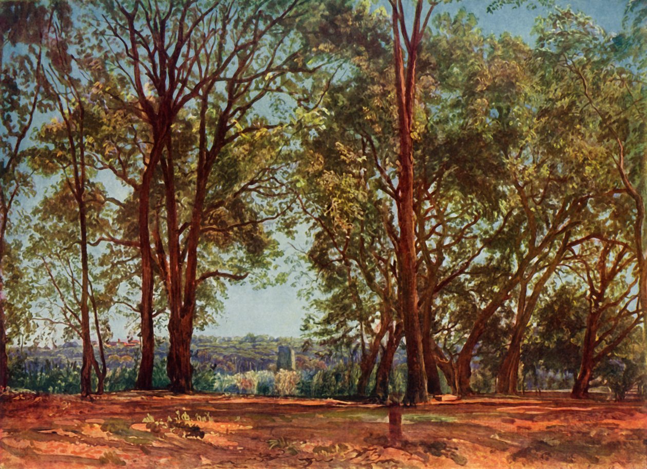 Im Aricci Park, 1830er, 1965 von Aleksandr Ivanov