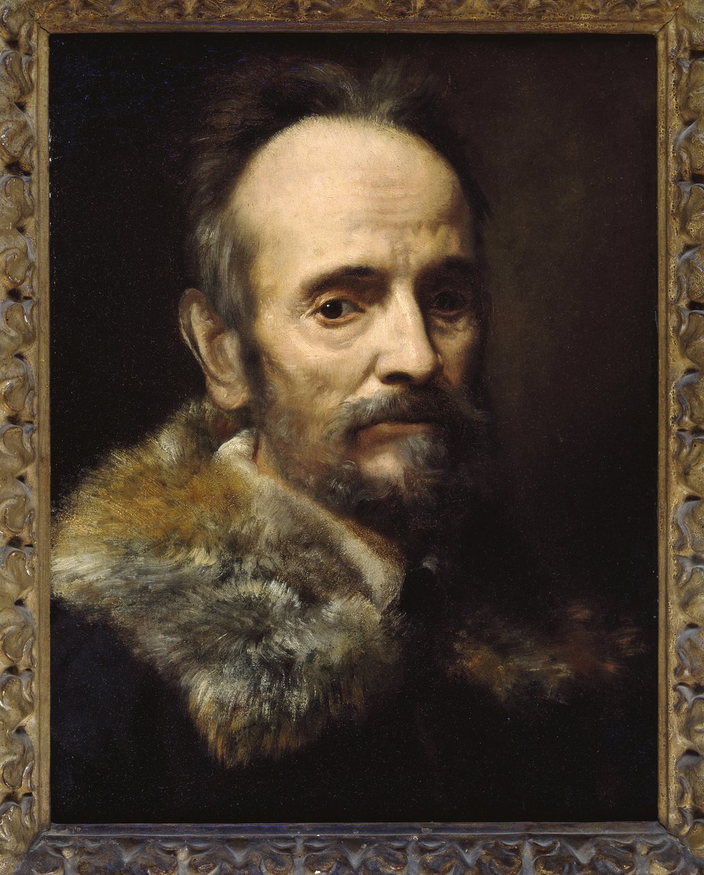 Bernardo Davanzati Bostichi von Alessandro Allori