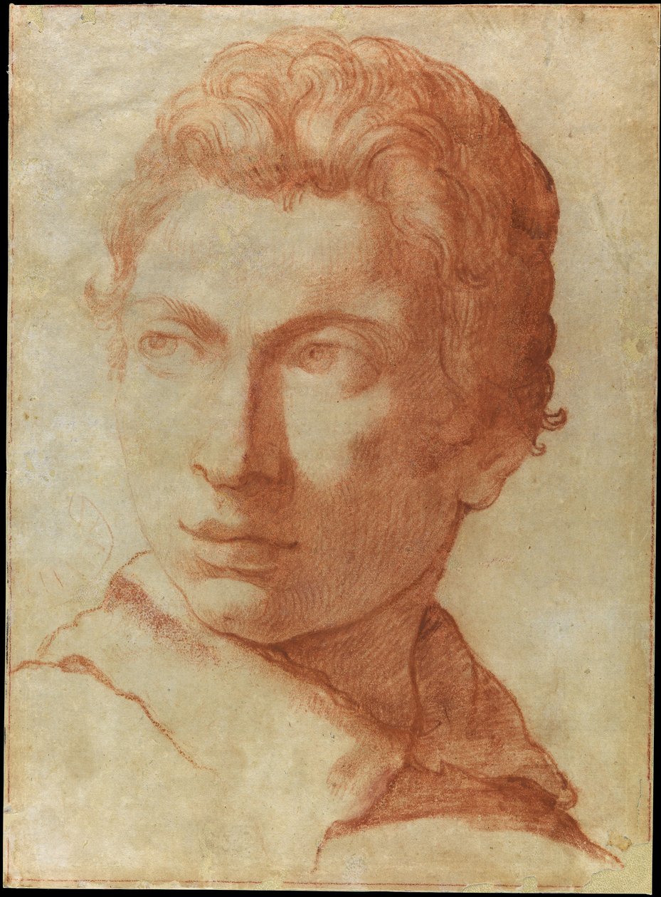 Kopf eines jungen Mannes von Alessandro Tiarini