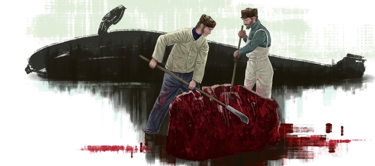 Zwei Wale, schneiden einen Wal von Alessandro Lonati