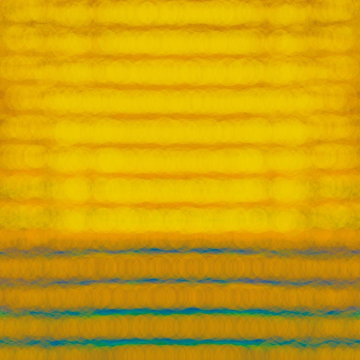 Tag, 2015 von Alex Caminker