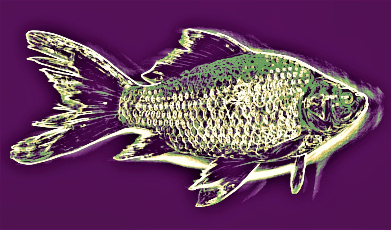 Fisch von Alex Caminker
