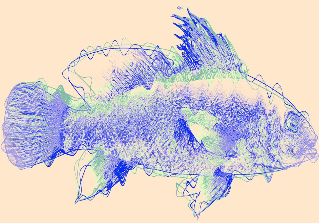 Fisch IV von Alex Caminker