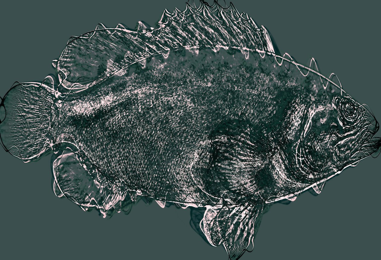 Fisch in Grün von Alex Caminker